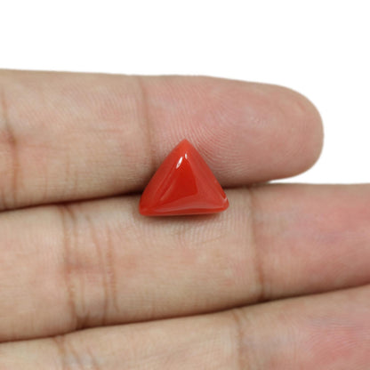 Red Coral (Moonga) - 5.58 Carat