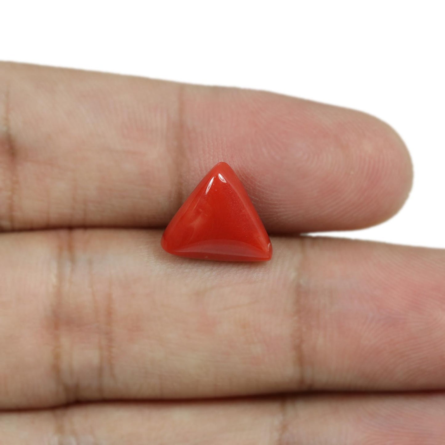 Red Coral (Moonga) - 5.58 Carat