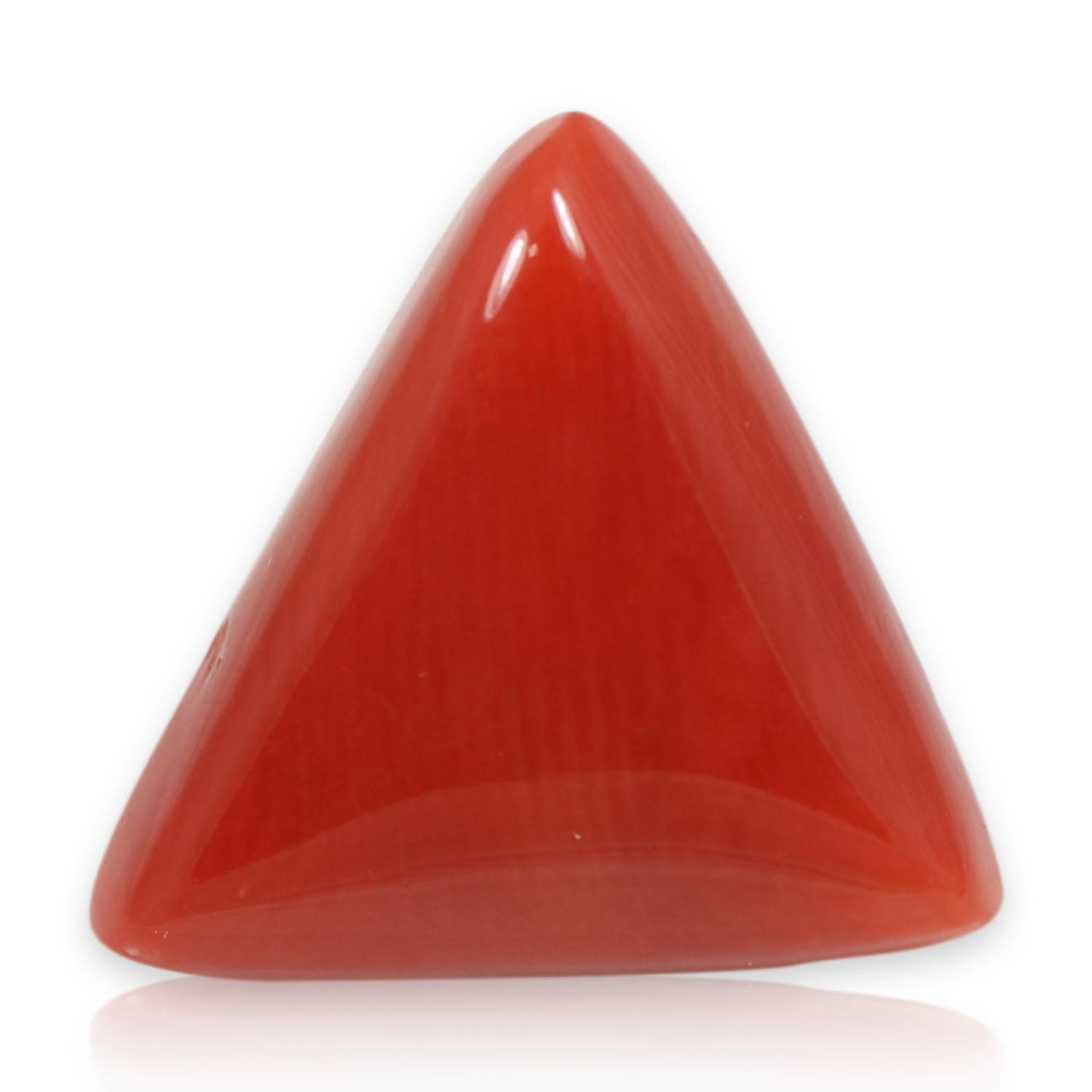 Red Coral (Moonga) - 6.05 Carat