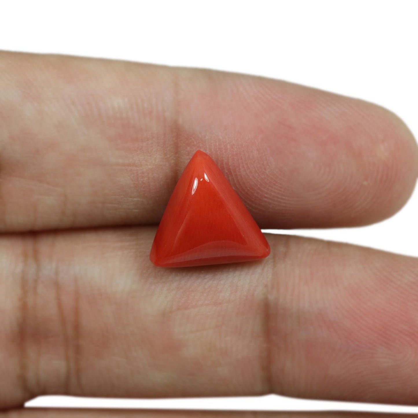 Red Coral (Moonga) - 6.05 Carat