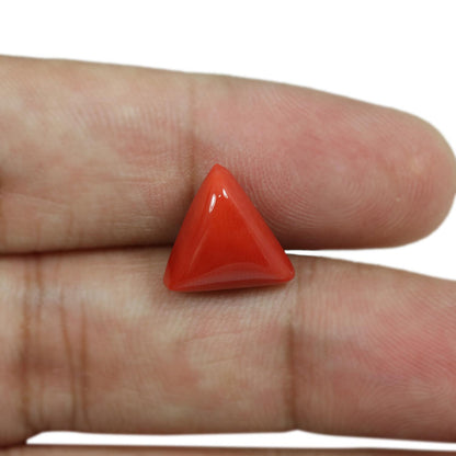 Red Coral (Moonga) - 6.05 Carat