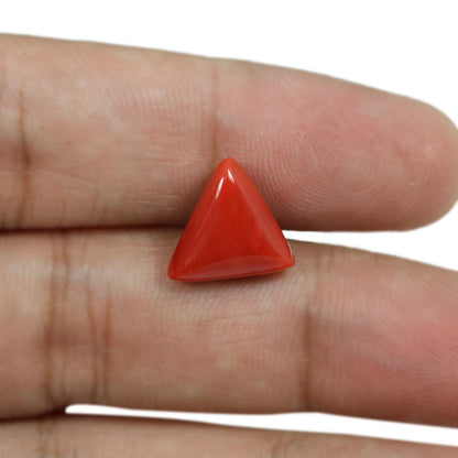 Red Coral (Moonga) - 6.05 Carat