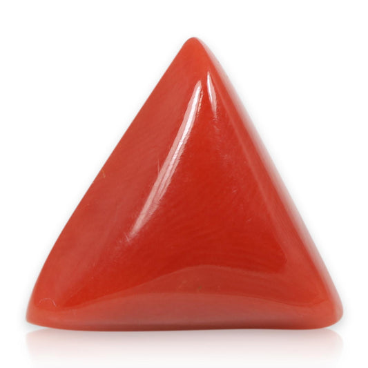 Red Coral (Moonga) - 5.88 Carat