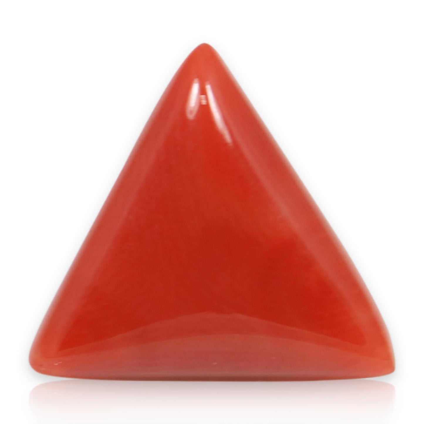 Red Coral (Moonga) - 5.88 Carat