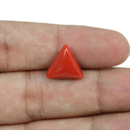 Red Coral (Moonga) - 5.88 Carat