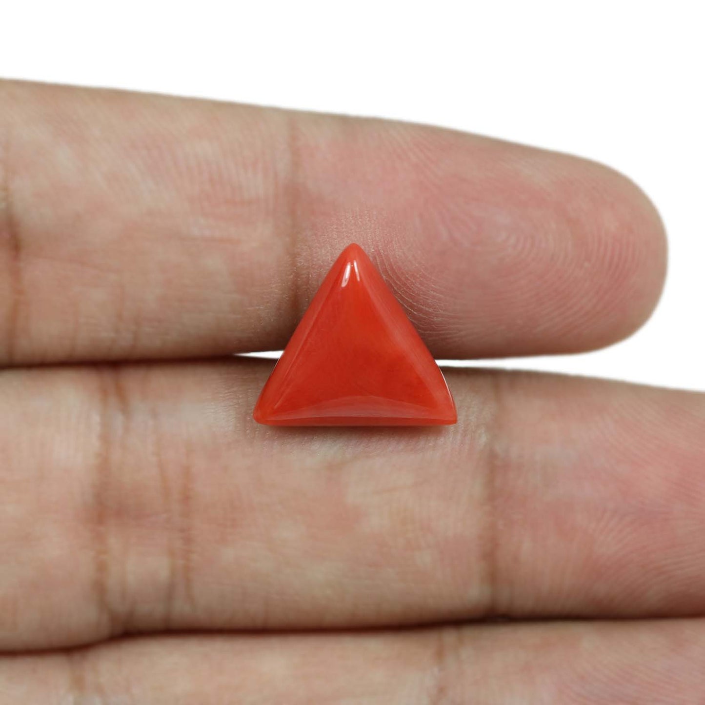 Red Coral (Moonga) - 5.88 Carat