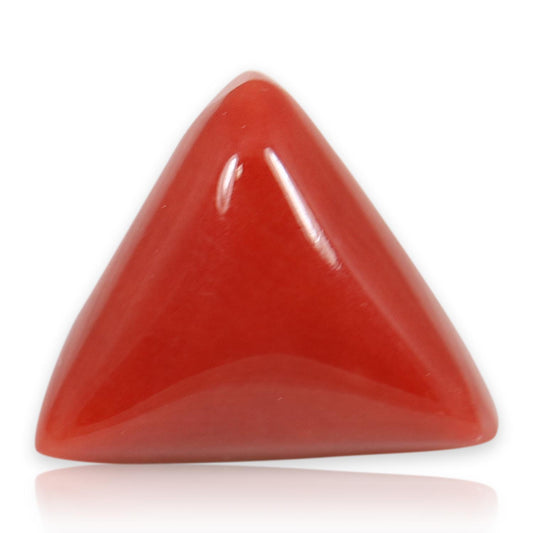 Red Coral (Moonga) - 5.59 Carat