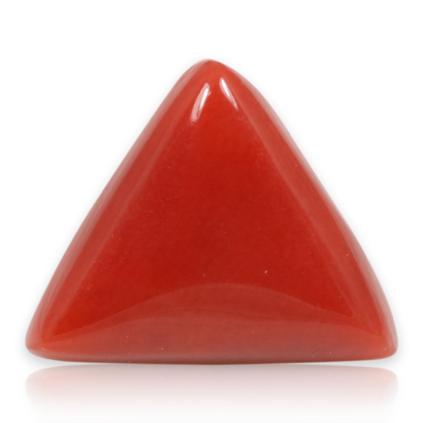 Red Coral (Moonga) - 5.59 Carat