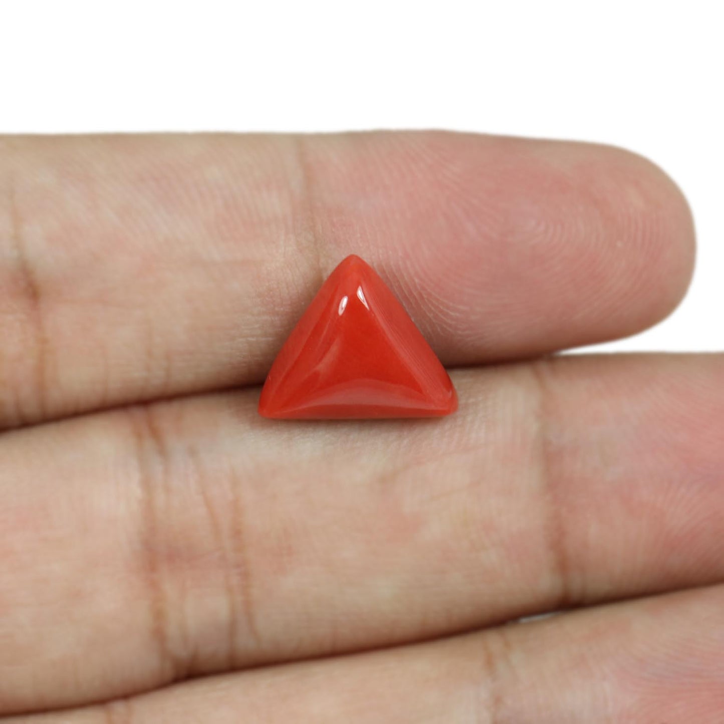 Red Coral (Moonga) - 5.59 Carat