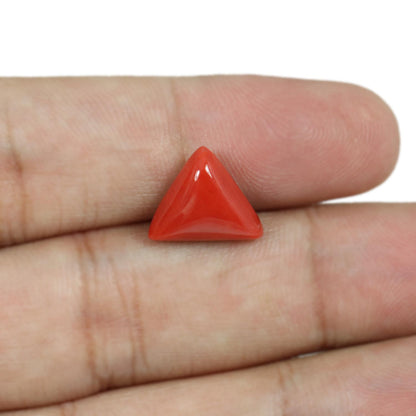 Red Coral (Moonga) - 5.59 Carat