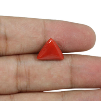 Red Coral (Moonga) - 5.59 Carat