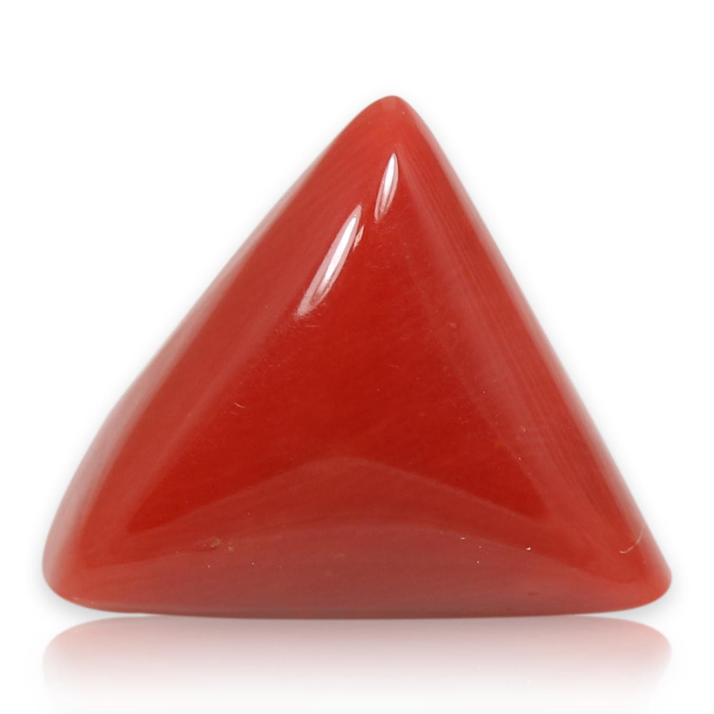 Red Coral (Moonga) - 5.53 Carat