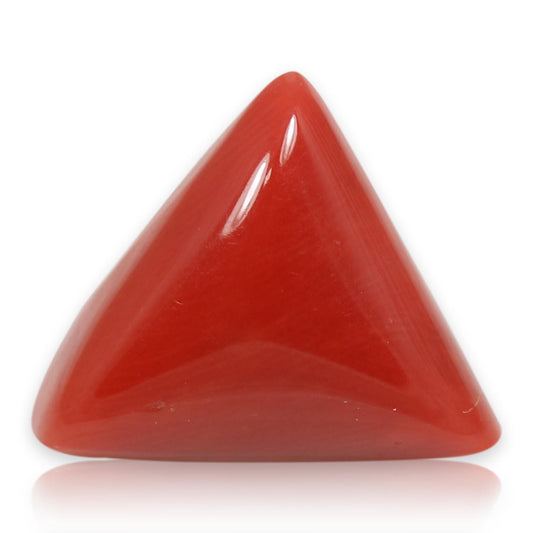 Red Coral (Moonga) - 5.53 Carat
