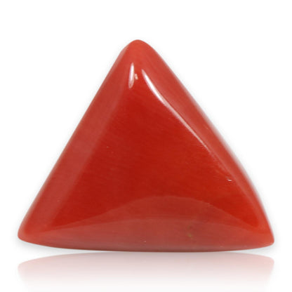 Red Coral (Moonga) - 5.53 Carat