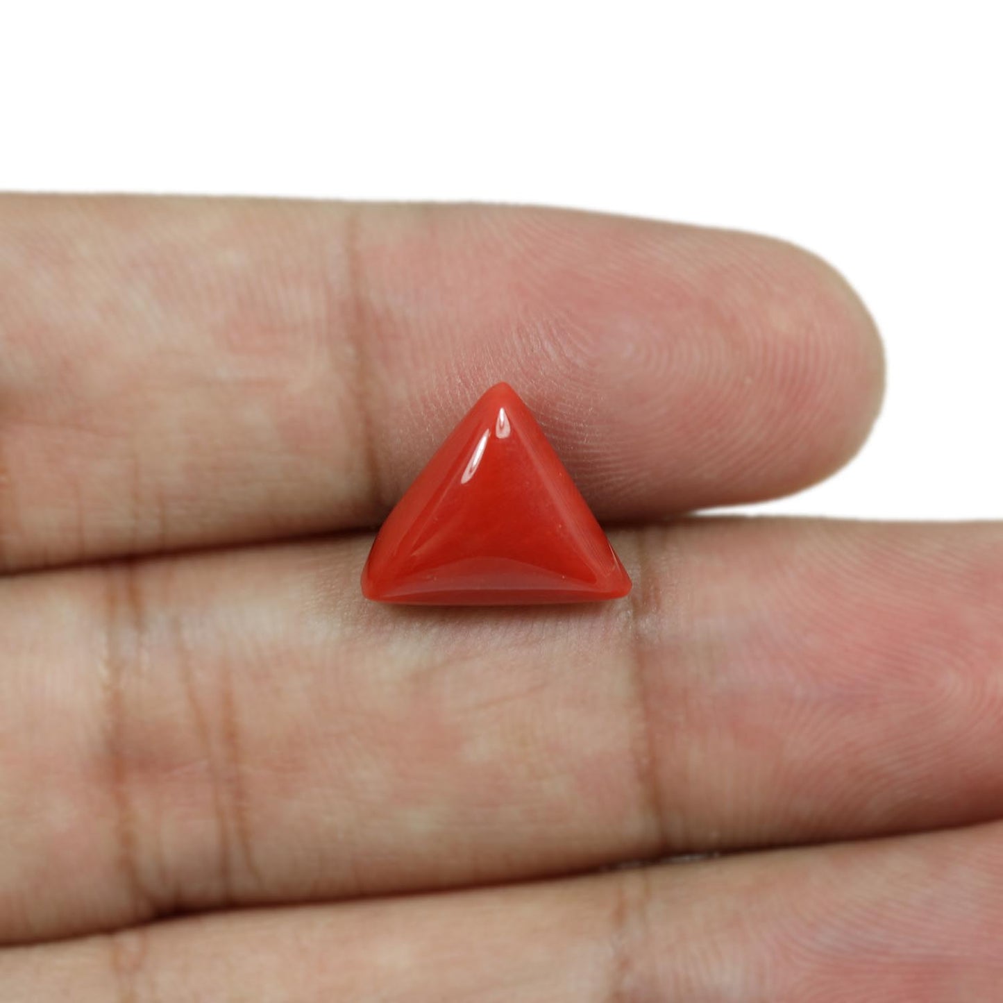 Red Coral (Moonga) - 5.53 Carat