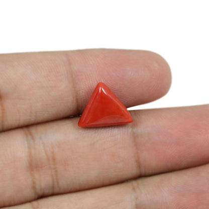 Red Coral (Moonga) - 5.53 Carat