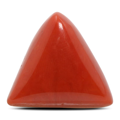Red Coral (Moonga) - 28.62 Carat