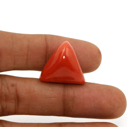 Red Coral (Moonga) - 28.62 Carat