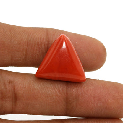 Red Coral (Moonga) - 28.62 Carat