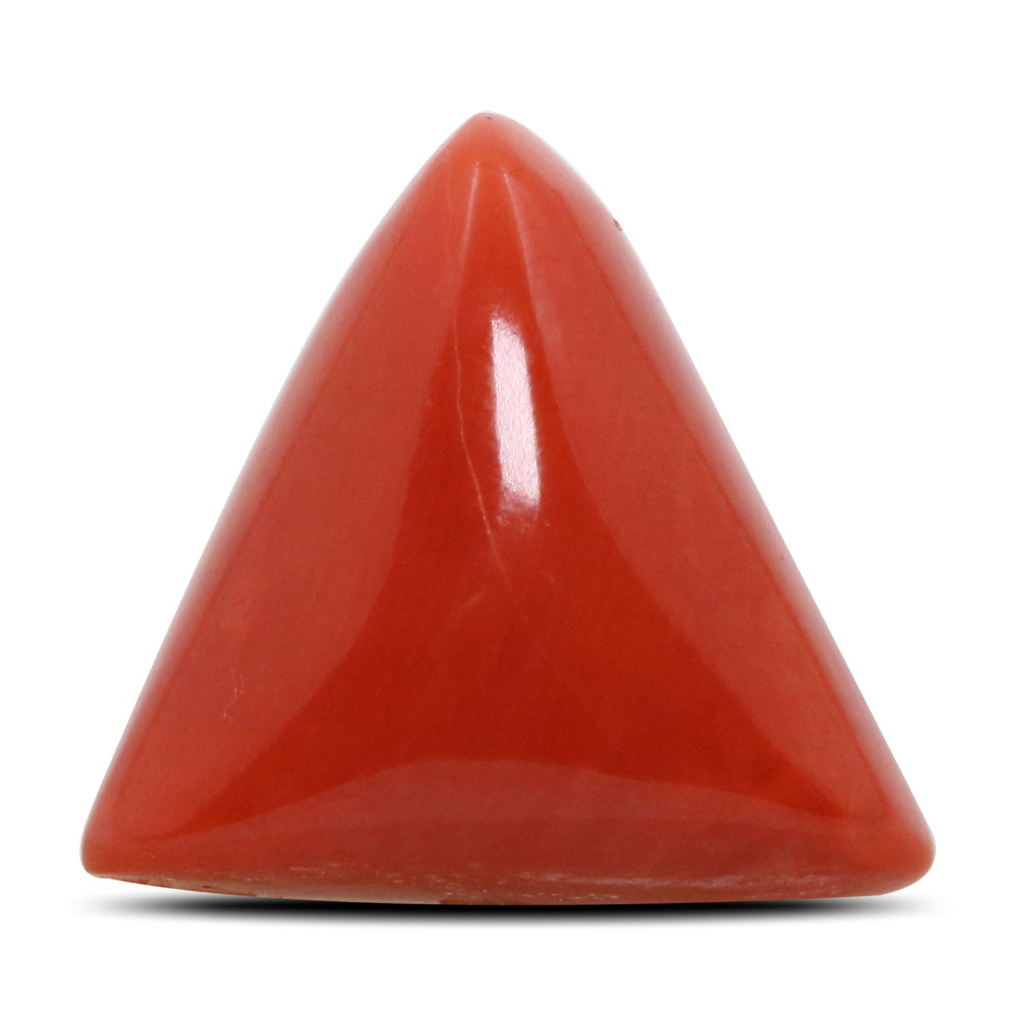 Red Coral (Moonga) - 12.53 Carat