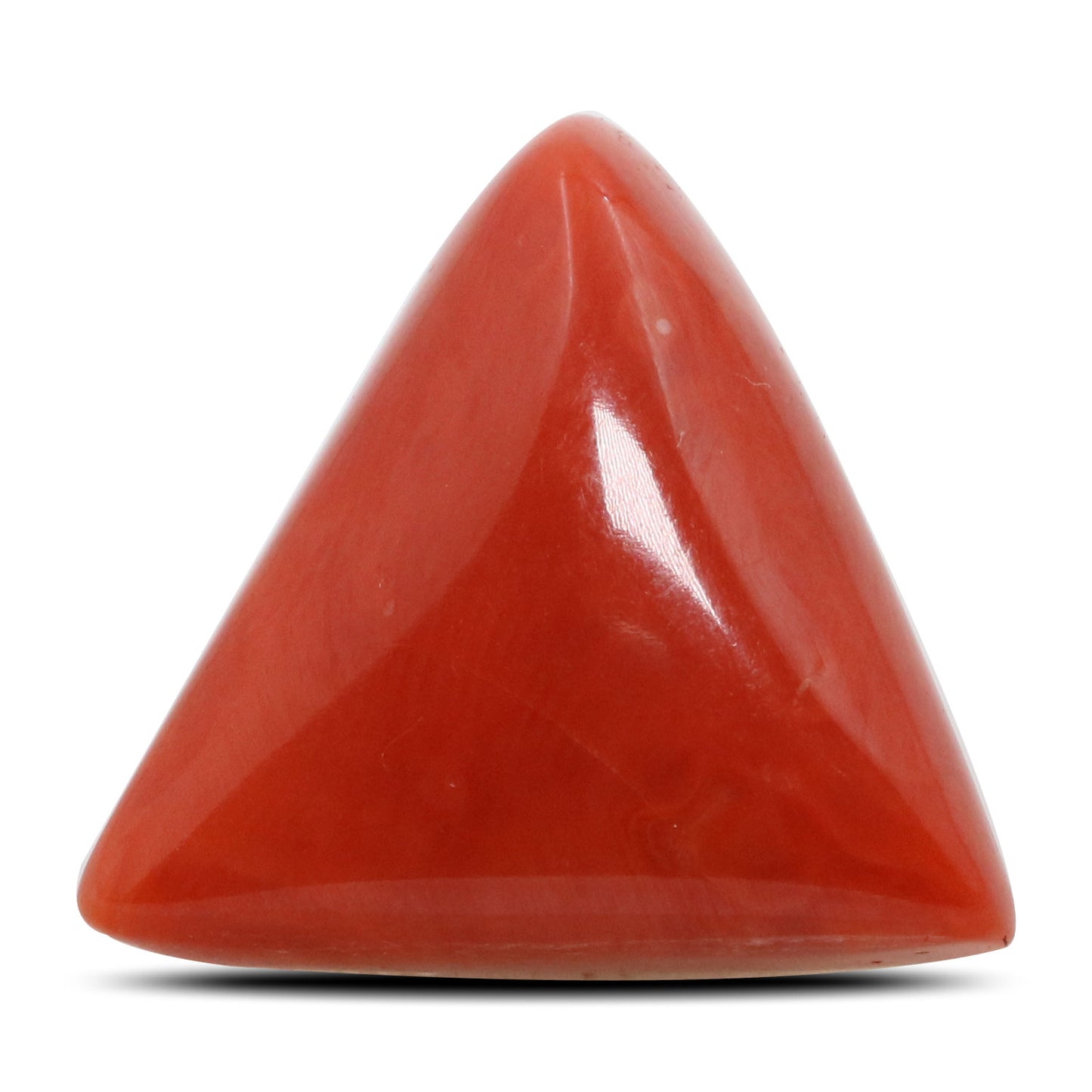 Red Coral (Moonga) - 12.53 Carat
