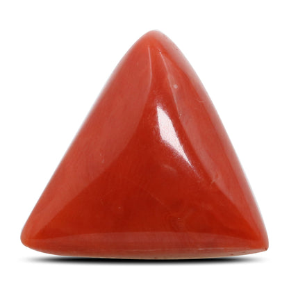 Red Coral (Moonga) - 12.53 Carat