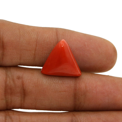 Red Coral (Moonga) - 12.53 Carat