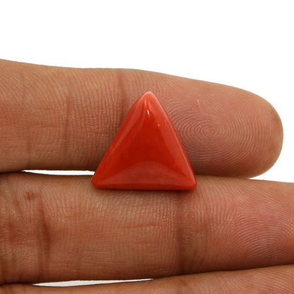 Red Coral (Moonga) - 12.53 Carat