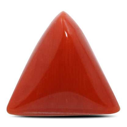Red Coral (Moonga) - 11.91 Carat