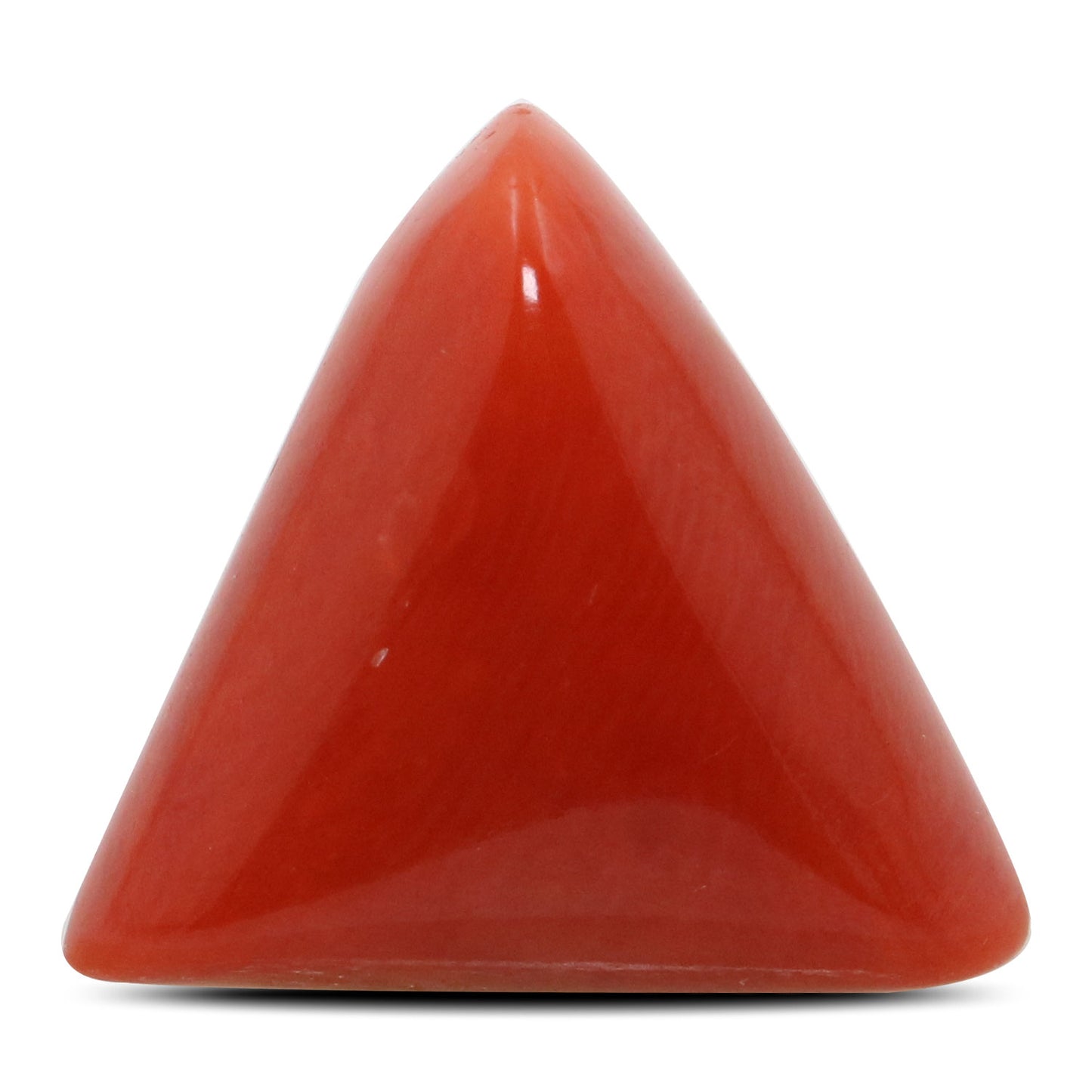 Red Coral (Moonga) - 11.91 Carat