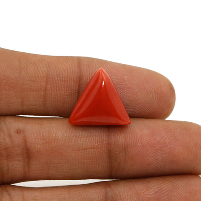 Red Coral (Moonga) - 11.91 Carat