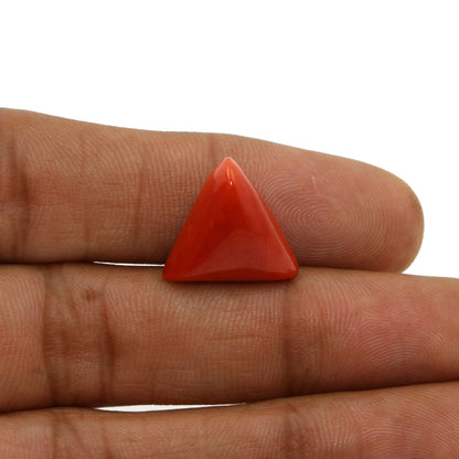 Red Coral (Moonga) - 11.91 Carat