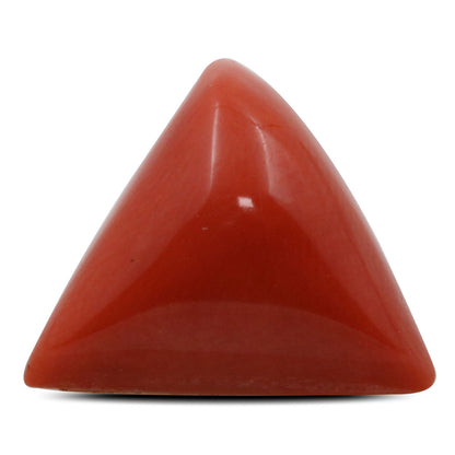Red Coral (Moonga) - 12.99 Carat