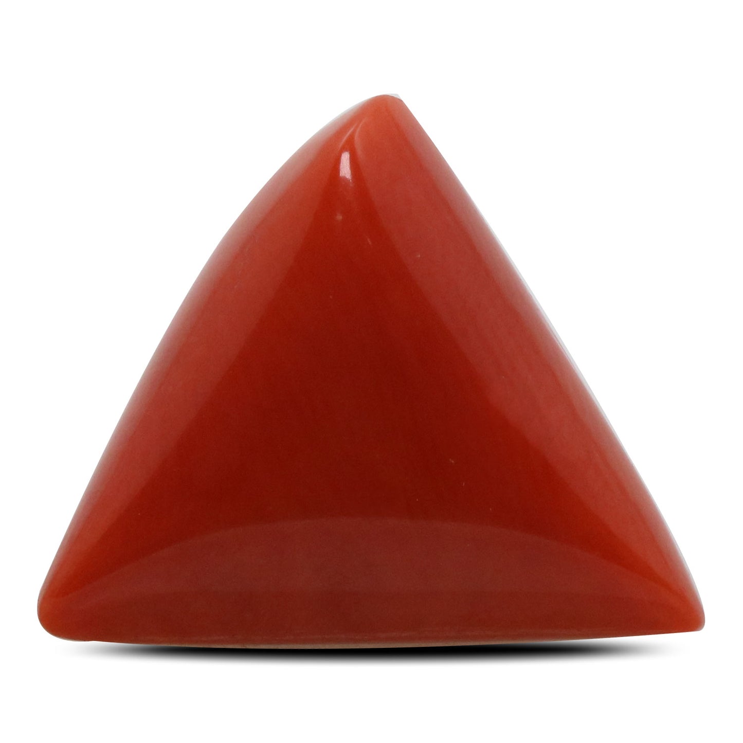 Red Coral (Moonga) - 12.99 Carat