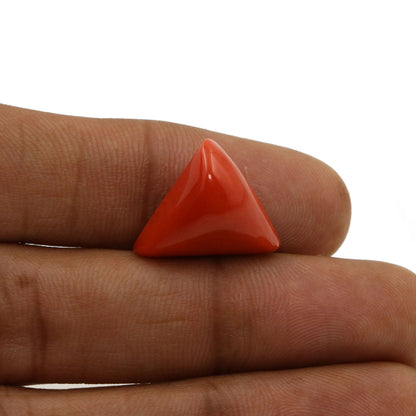 Red Coral (Moonga) - 12.99 Carat