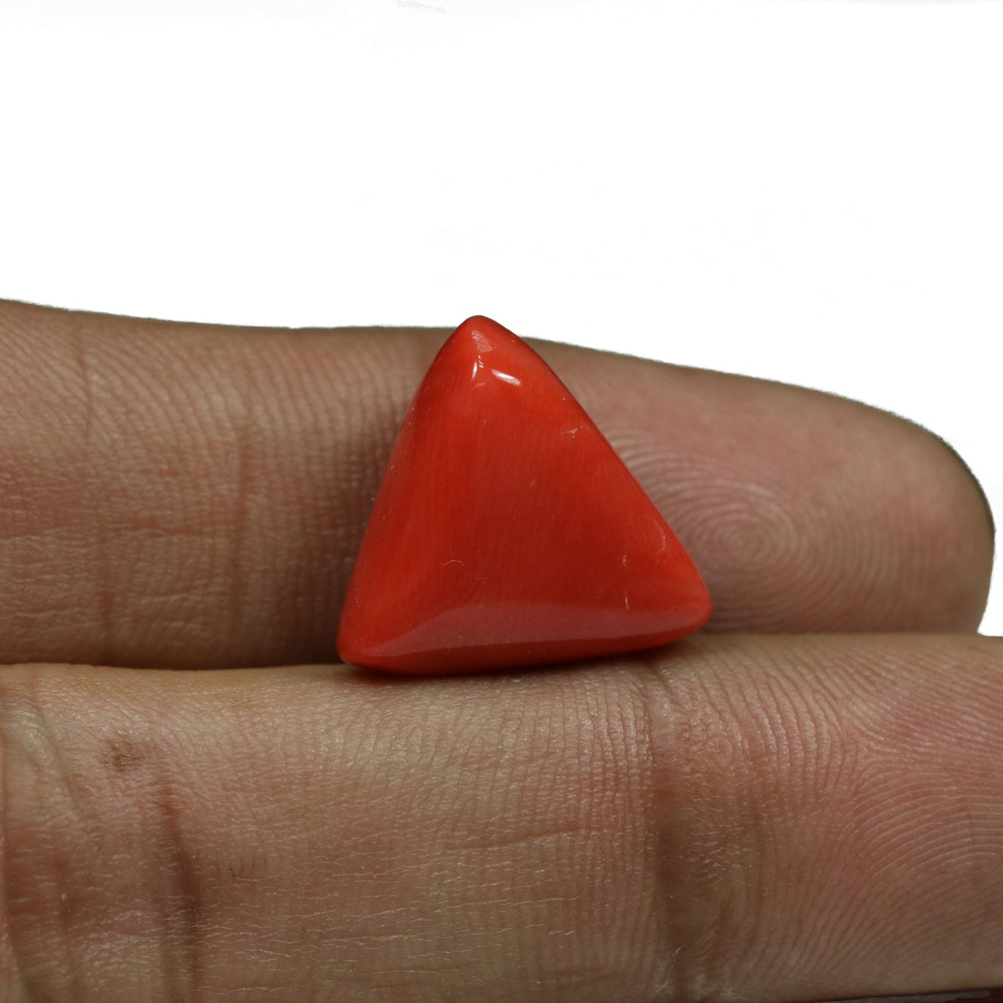 Red Coral (Moonga) - 15.54 Carat