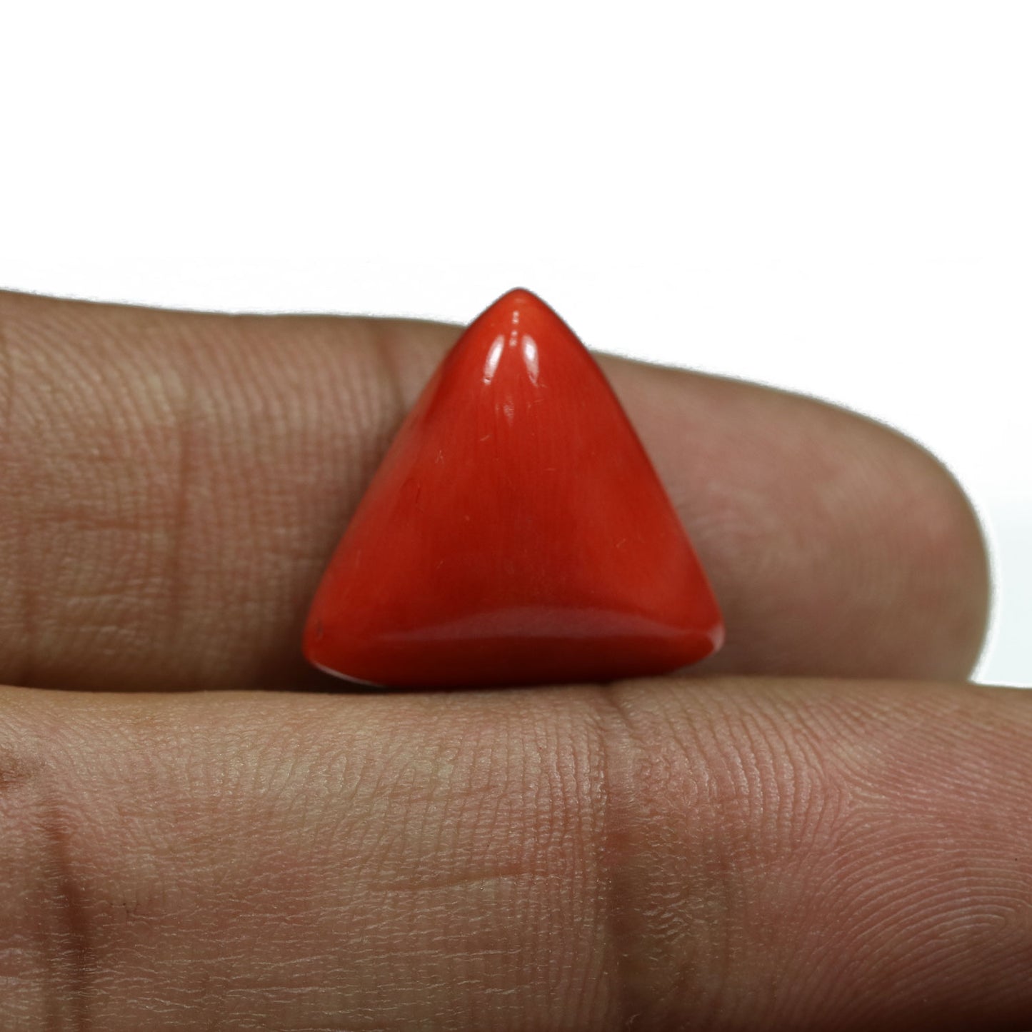 Red Coral (Moonga) - 15.54 Carat