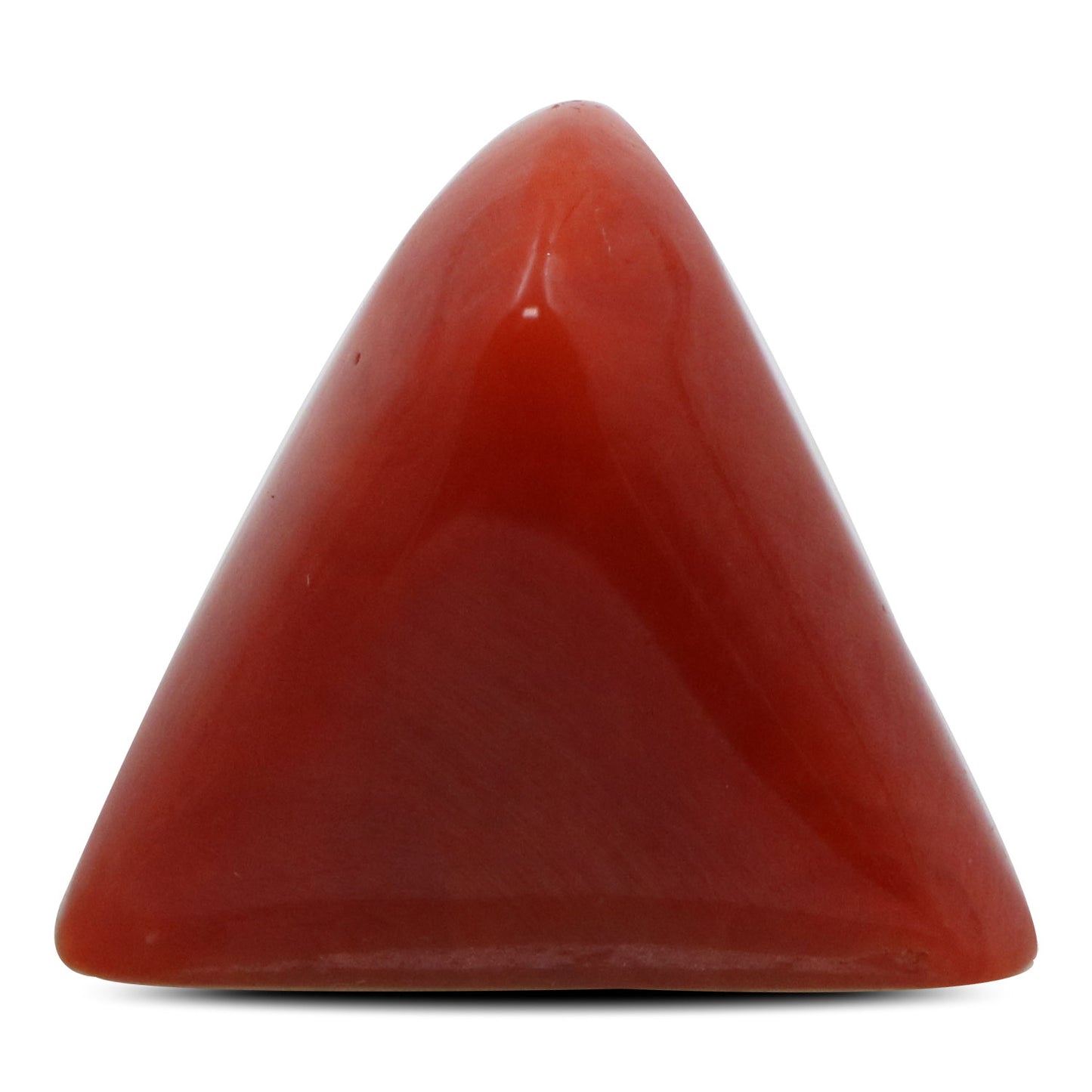 Red Coral (Moonga) - 14 Carat
