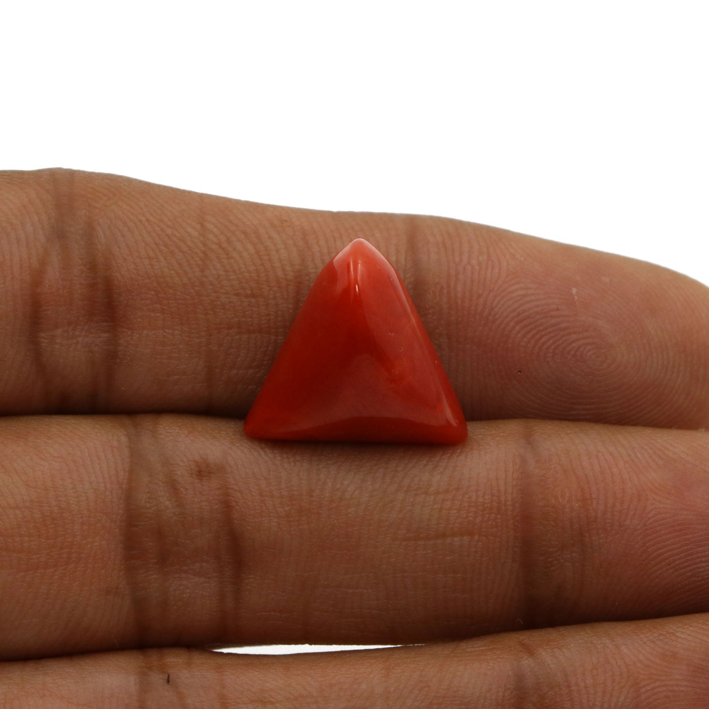 Red Coral (Moonga) - 14 Carat