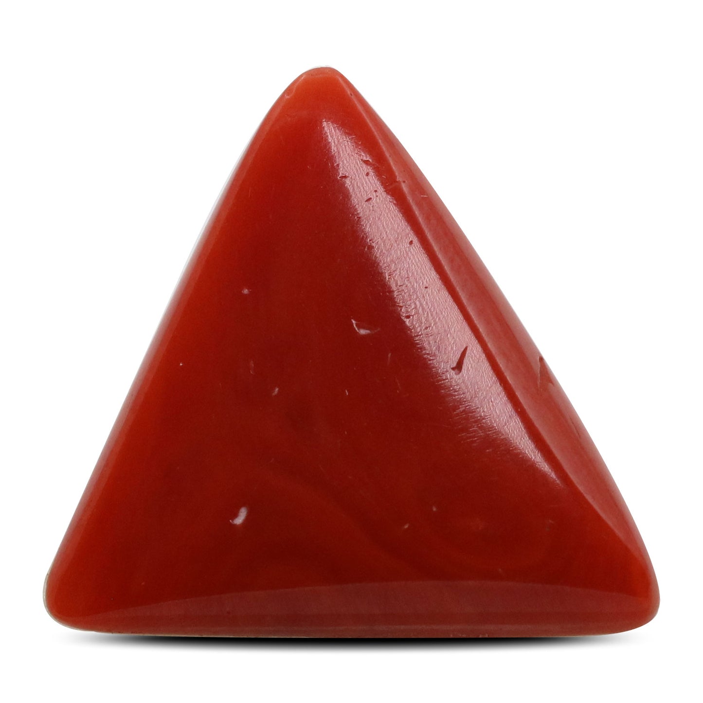Red Coral (Moonga) - 11.23 Carat
