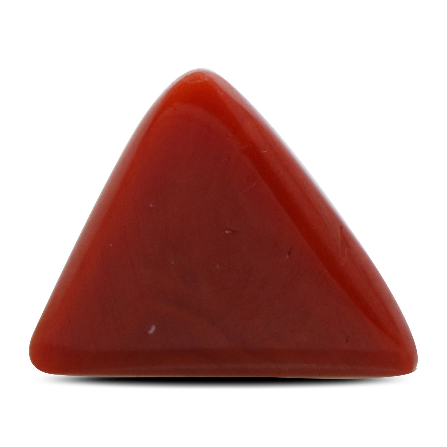 Red Coral (Moonga) - 11.23 Carat