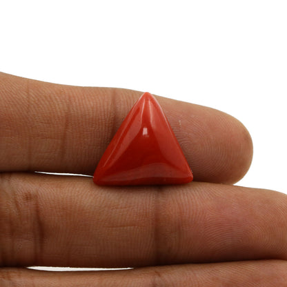 Red Coral (Moonga) - 11.23 Carat