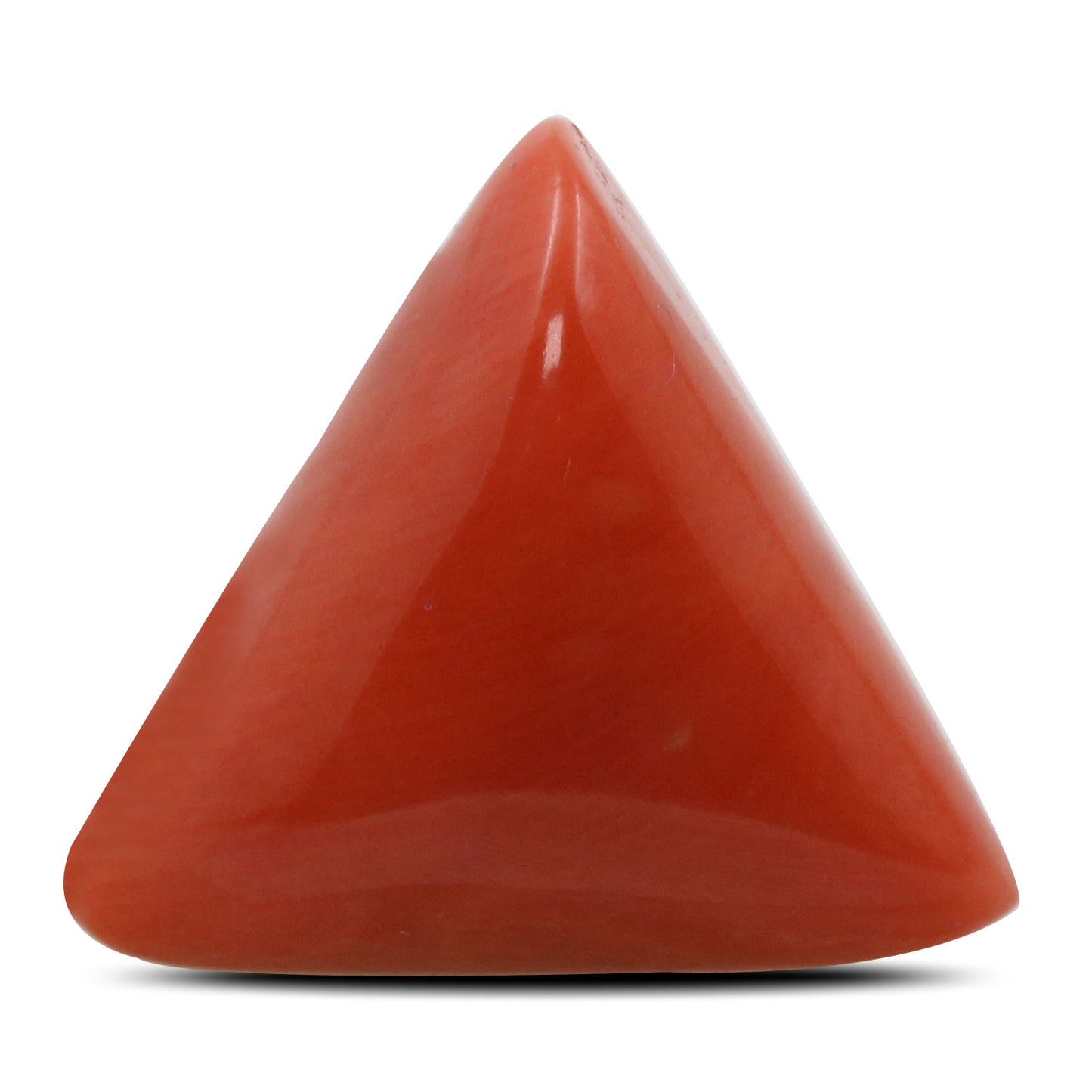 Red Coral (Moonga) - 12.53 Carat