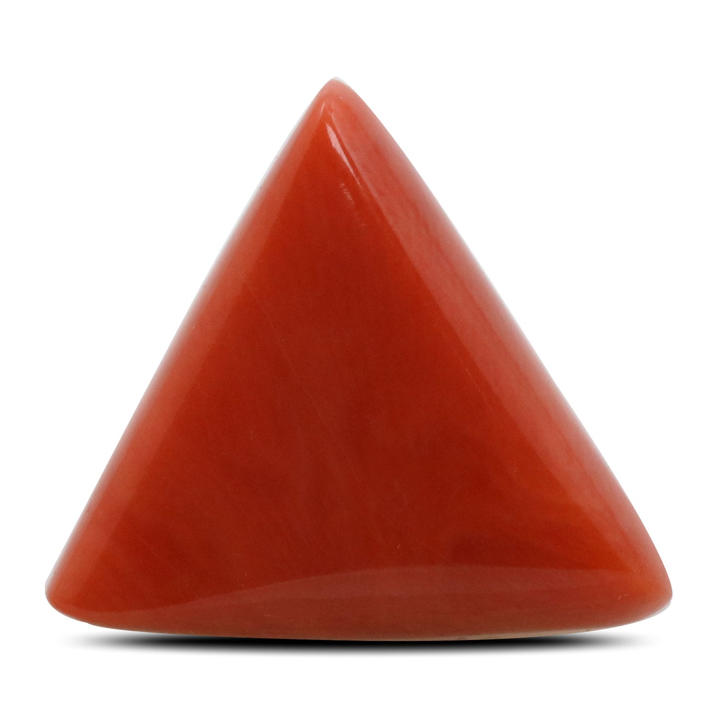 Red Coral (Moonga) - 12.53 Carat
