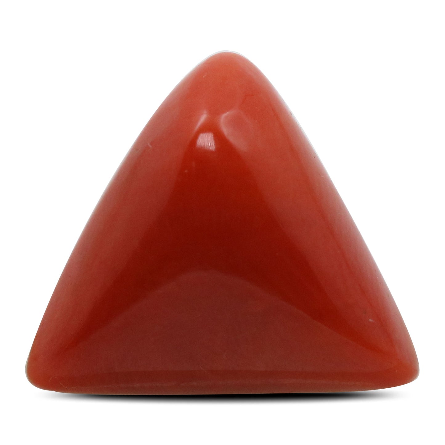 Red Coral (Moonga) - 13.28 Carat