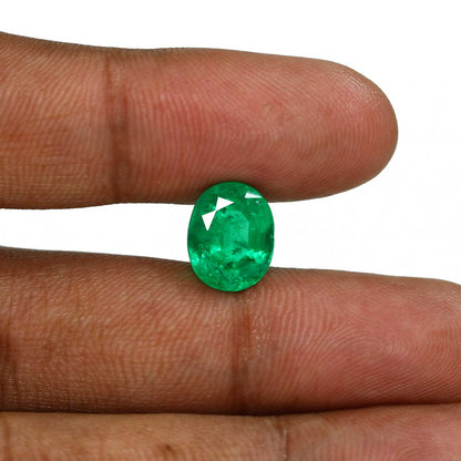 Zambian Emerald (Panna) - 6.9 Carat