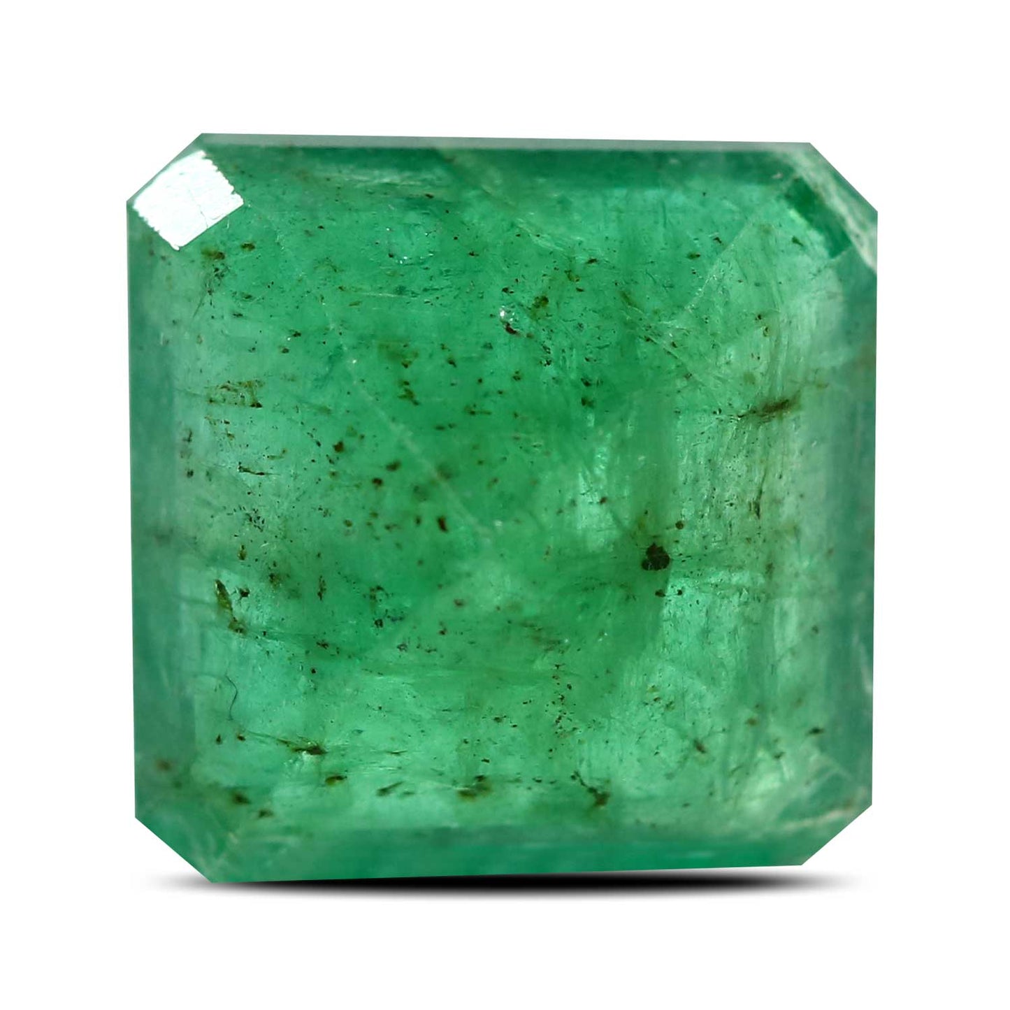 Zambian Emerald (Panna) - 9.34 Carat