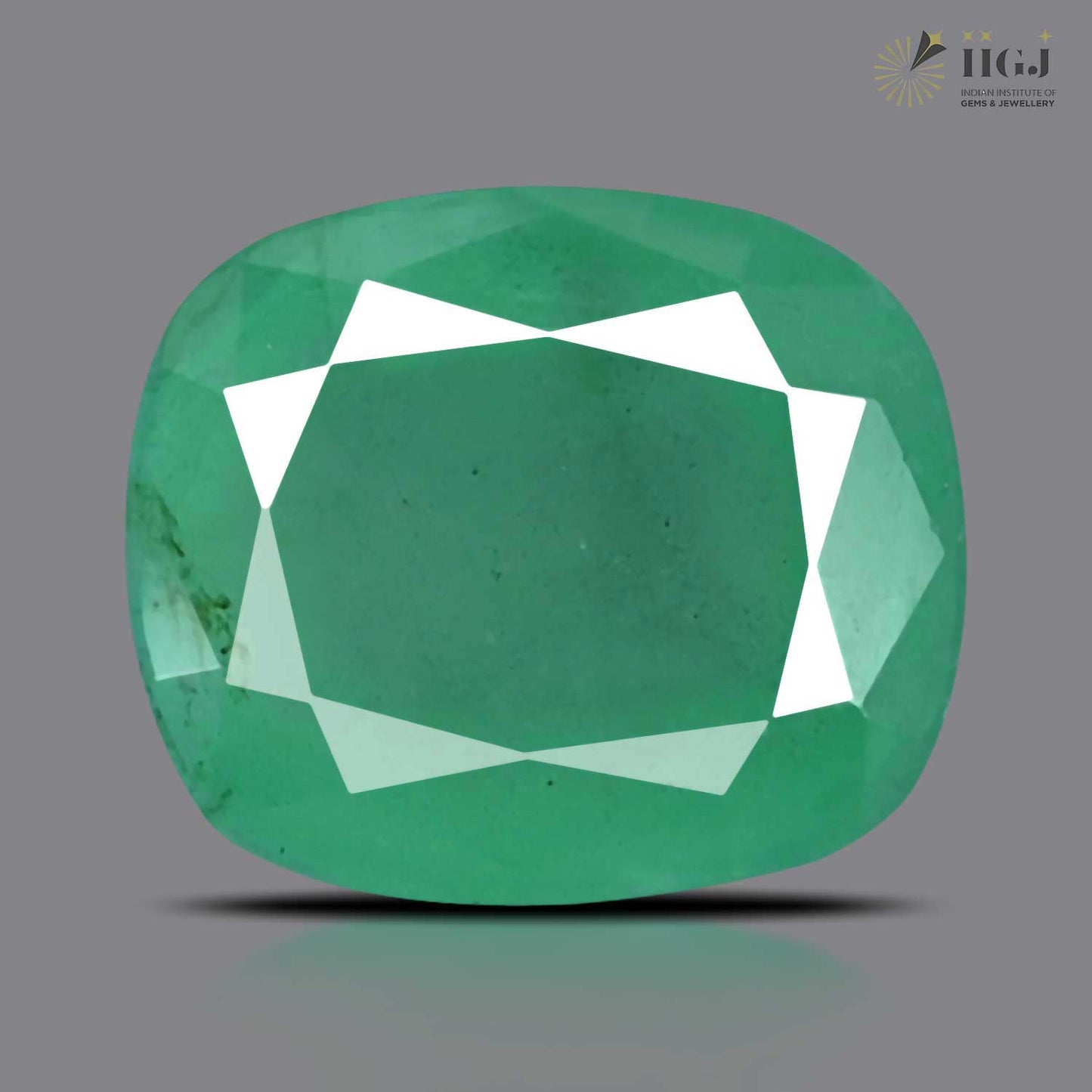 Zambian Emerald (Panna) - 10.71 Carat