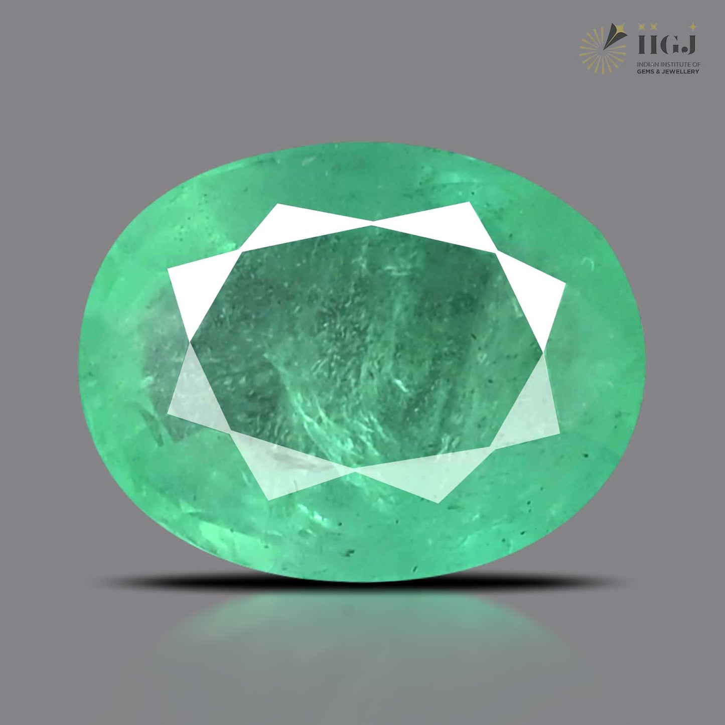 Zambian Emerald (Panna) - 10.35 Carat