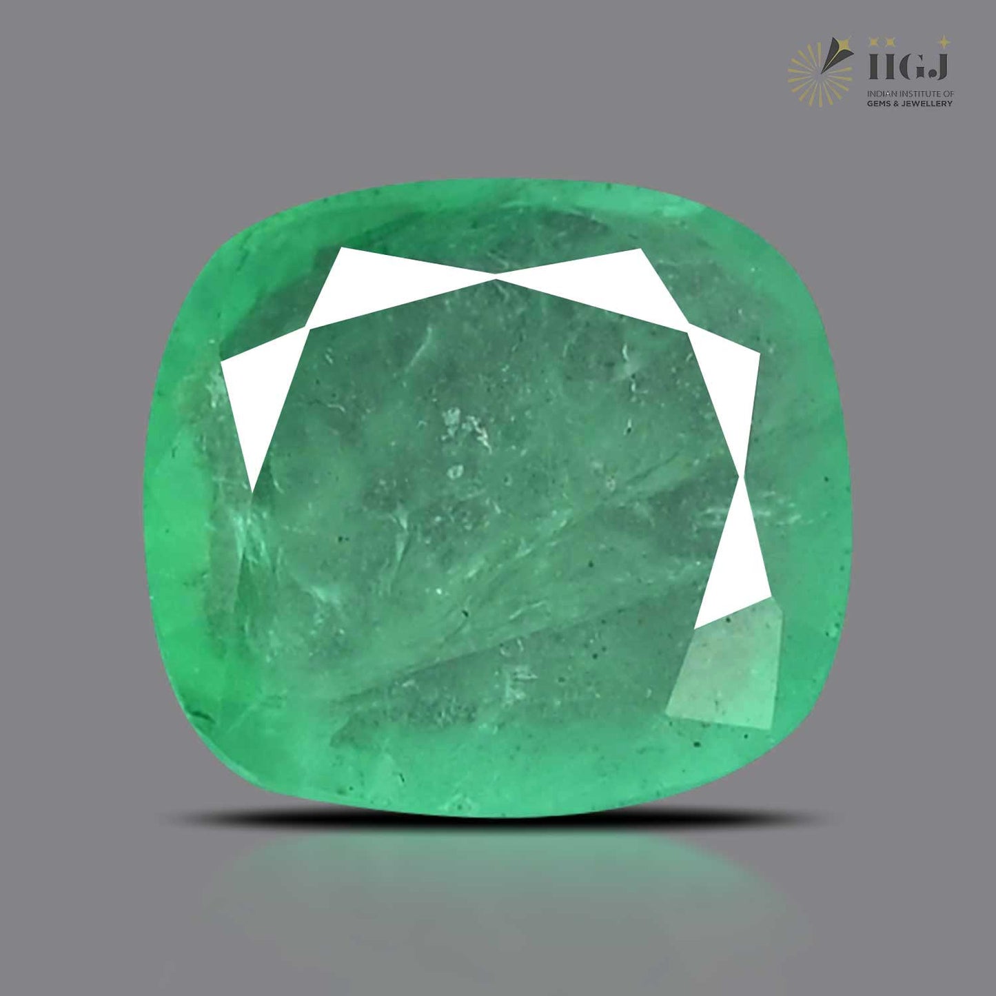 Zambian Emerald (Panna) - 8.73 Carat
